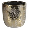 Splendid guld vazono dangtelis, 11 cm, aukso spalvos
