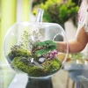 Stobok 3 plastikinių medžių modelių rinkinys, maža imitacinė pušis, kiparisas, žaislas, pasidaryk pats amatų geležinkelio kraštovaizdžio augalas vaikams (mažas)