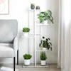 Stovas augalams, 5 lentynos, baltas, 43x22x98cm, metalas