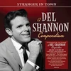 Vinilinė plokštelė Stranger in Town – Del Shannon rinkinys