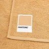 Rankšluostis Sweet Home Pantone™ rankšluosčių komplektas 1+1, susidedantis iš rankšluosčių svečiams 40 x 50 cm + veido rankšluosčio 50 x 100 cm, Oeko Tex sertifikuotas, smėlio spalvos