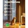 Lova Tacahe minimalistinis kampinis toršeras - 2700 K - 6500 K pritemdoma led naktinė lemputė - modernus toršeras su nuotoliniu valdymu svetainei miegamajam - 145 cm 12 W - juodas
