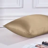 Thxsilk šilkinė pagalvės užvalkalas 40 x 60 cm - 100% šilkmedžio šilko pagalvės užvalkalas - hipoalerginis su paslėptu užtrauktuku - 22 momme dvipusis grynas šilkas 1 vnt. taupe