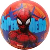 Toyland® 22 cm (9 colių) spiderman marvel kamuolys žaidimams - lauko žaislai ir žaidimai
