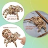 Ugears Hexapod Explorer 3d dėlionė - dovana tėvo dienai - modelių rinkiniai suaugusiems su galingu spyruokliniu varikliu - 3d medinės dėlionės, medinis robotas važiuoja iki 3 m