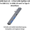 Usb 3.0 šakotuvas: 3 prievadai (usb 3.0, Usb 2.0, Type C)