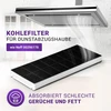 Vioks.pro anglies filtras gartraukiui 430 x 175 mm, pakaitalas 296178 neff gartraukio filtrui - aktyvintos anglies filtras siemens bosch gartraukiui