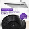 Vioks.pro anglies filtrų rinkinys, 2 vnt., aktyvintos anglies filtras 175 mm skersmens, pakaitalas Respekta Miz 0031 Miz0031 Pkm C04 Cf100 gartraukiui