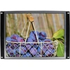 Vsdisplay Nešiojamas lauko monitorius, 15 colių 1024 x 768 Lq150x1lw94 Ips Lvds Lcd ekranas su Usb valdiklio plokšte