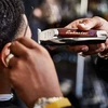 Wahl Professional 8171 Cordless Detailer Li plaukų kirpimo mašinėlė su laidu/baterija