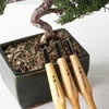 Grandininis pjūklas Wazakura Bonsai Jin ir Shari rinkinys su apvaliu kaltu, vienpusiu nuožulnumu ir V formos įrankiu, medienos apdirbimo (3 dalių Bonsai Jin ir Shari rinkinys)