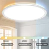 Wholede 24 W 3000-6500 K led lubų šviestuvas plokščias, apvalus, reguliuojamo ryškumo su infraraudonųjų spindulių nuotolinio valdymo pulteliu, itin plonas šviestuvas virtuvei, svetainei, prieškambariui, miegamajam, vonios kambariui, skersmuo 29,5 cm, balt