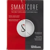 Wilson Smartcore Straight Distance golfo kamuoliukai, 2 tuzinai