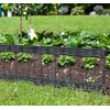 Windhager Apvadas gėlių lysvėms pvc ratanas 35 x 100 cm antracito spalvos