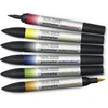 Winsor & Newton 0290164 Promarker Watercolour Marker - 2 antgaliai, teptukas ir plonas antgalis, neblunkantys, labai pigmentuoti akvareliniai dažai kaligrafijai, piešiniams, 6 spalvų rinkinys, pagrindinės spalvos