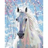 Zuty 1082221 paveikslas pagal skaičius baltas arklys 40 x 50 cm su porėmiu (iš anksto įtemptas) įrėmintas