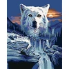 Zuty 1133221 paveikslas pagal skaičius Vilkas ir kriokliai 40 x 50 cm su porėmiu (iš anksto įtempta drobė), įrėminta