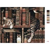 Zuty 2410201 paveikslas pagal skaičius „katė bibliotekoje“ 40 x 50 cm su rėmu (jau įtemptas)