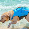 Gelbėjimosi liemenė šunims Aquatone Pawsome Buoyancy Pet Vest L