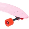 Longbordas Penny Longboard 36 Cactus Wanderlust Rožinė