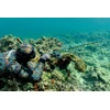 Nardymo peilis 4Diving MICROSUB 2