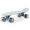 Riedlentė Penny Cruiser 22" ledo mėlyna