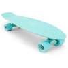 Riedlentė Penny Cruiser 27 Staple Mint mėtinė
