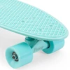 Riedlentė Penny Cruiser 27 Staple Mint mėtinė