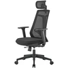 Ergonomiška biuro kėdė Spacetronik GRINGO-45