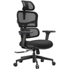 Ergonomiška biuro kėdė Spacetronik LUMBO 33, juoda