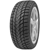 Žieminės padangos Delinte Winter WD6 205/55 R17 95 H XL (D B B 72dB)