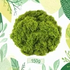 150 g dirbtinių samanų dekoravimui, dirbtinių samanų dekoracija modelių gamybai, sodininkystei, sienoms, floristams, vestuvių dekoravimui, dekoratyvinė žolė (žalia)