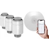 3x termostatinė galvutė + Smart Home centras