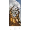 Alpha Edition - Trees 2025 dryžuotas kalendorius Xxl, 25 x 69 cm, kalendorius su išraiškingomis nuotraukomis, medžių aprašymais, užrašais apie susitikimus ir tarptautinis kalendorius