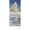 Alpha Edition - Trees 2025 dryžuotas kalendorius Xxl, 25 x 69 cm, kalendorius su išraiškingomis nuotraukomis, medžių aprašymais, užrašais apie susitikimus ir tarptautinis kalendorius