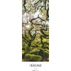 Alpha Edition - Trees 2025 dryžuotas kalendorius Xxl, 25 x 69 cm, kalendorius su išraiškingomis nuotraukomis, medžių aprašymais, užrašais apie susitikimus ir tarptautinis kalendorius