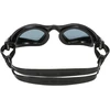 Aquasphere Aqua Sphere Kayenne blk slv ld