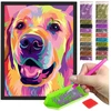 Artpro Diamond mozaika paveikslas + rėmelis