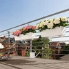 Balkono gėlių vazonas Lechuza Balconera 80cm pilkas