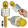 Belaidis karaoke mikrofonas su bluetooth + garsiakalbis