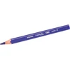 Bic Kids Ecolutions Evolution spalvoti pieštukai / trikampiai spalvoti pieštukai vaikams nuo 2 metų / ergonomiški / skatina taisyklingą laikymą / atsparūs lūžiams / be medienos / spalvotų pieštukų rinkinys su spalvotais pieštukais