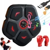 Boxing machine music skydas su bluetooth garsiakalbiu, bokso treniruoklis ant sienos