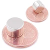 Brudazon 5 mini diskiniai magnetai 10 x 7 mm n52 stipriausio lygio neodimio magnetai itin stiprūs magnetai modelių gamybai, nuotraukoms, lentai, skelbimų lentai, šaldytuvui, rankdarbiams, itin stiprus magnetinis diskas