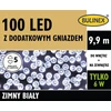 Bulinex 100 Led lemputės, balta spalva, su papildomu lizdu
