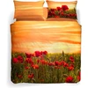 Patalynės komplektas Caleffi 65949 – C coprip Poppies