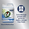 Cif Professional 7517832 stiklų ir paviršių valiklis, universalus naudojimas be dryžių, 5 l