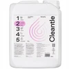 Cleantle Glossify Qd blizgesio suteikimo ir lako patamsinimo priemonė 5l