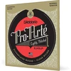 D'addario Ej45lp Pro-arte Composites Normal (.028-.043) Lightly Polished klasikinės gitaros stygos
