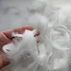 Dhdhcpzz 300 plunksnų rinkinys rankdarbiams, 4–8 m baltos plunksnos, sukurtos „pasidaryk pats“, lengvos plunksnos rankdarbiams, baltos plunksnos vestuvėms, drabužiams