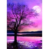Diamond painting deimantinis siuvinėjimas mozaikos rinkinys 5d